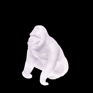 42962_5995747990101:1.png