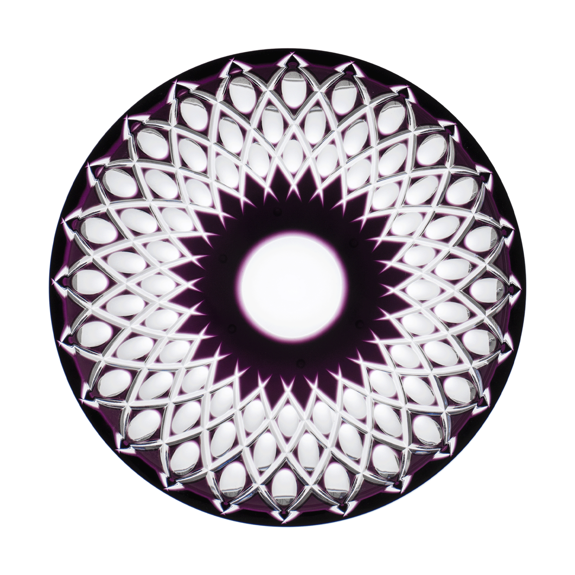 Purple Plate 12.6 in