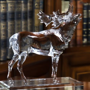 64663_93612:90319-Deer R.jpg