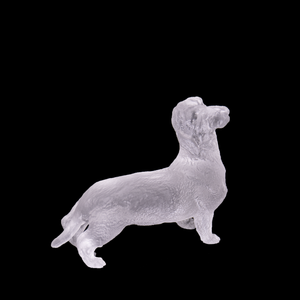 80454_5995747363745.png