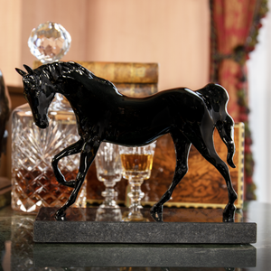 85822_Fekete musztáng-1.png