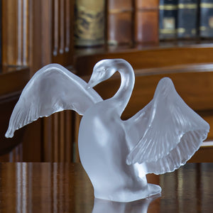 85860_87894-Swan-1.jpg