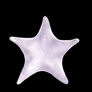85862_5995747941165:1.png
